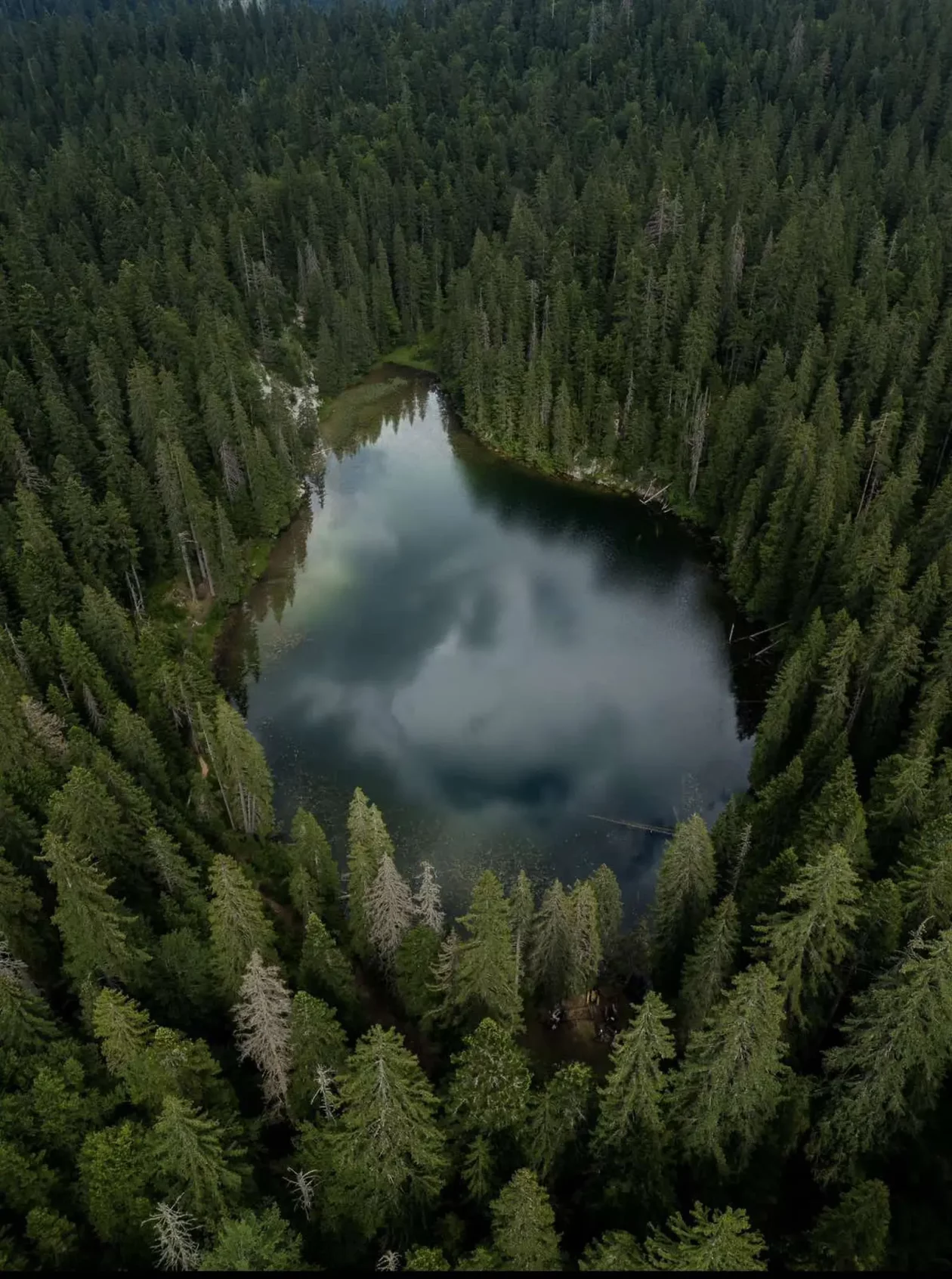Tajana Čevizović. Goričan, Highlander Challenge, planinarenje (10)