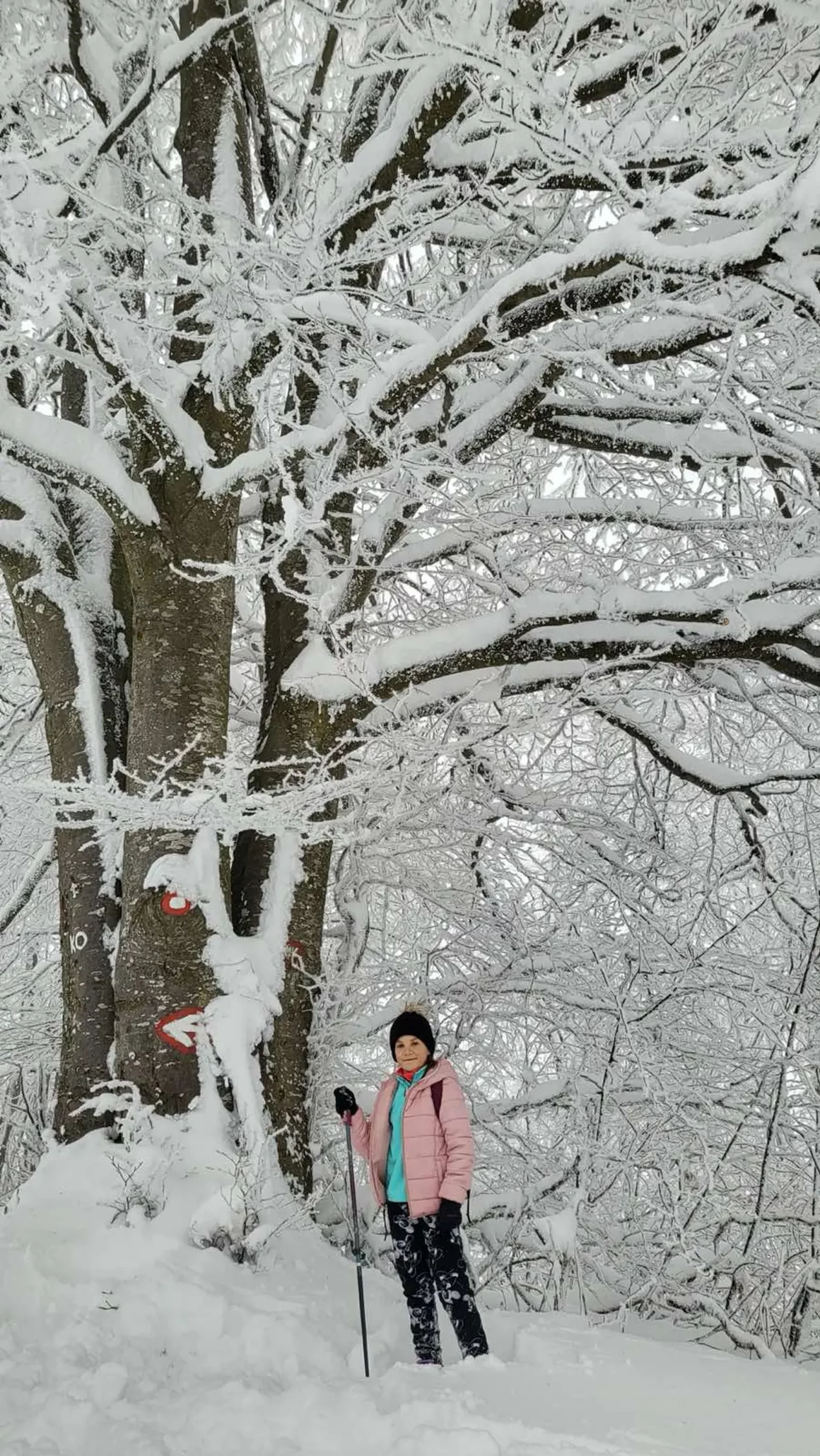 Tajana Čevizović. Goričan, Highlander Challenge, planinarenje (12)