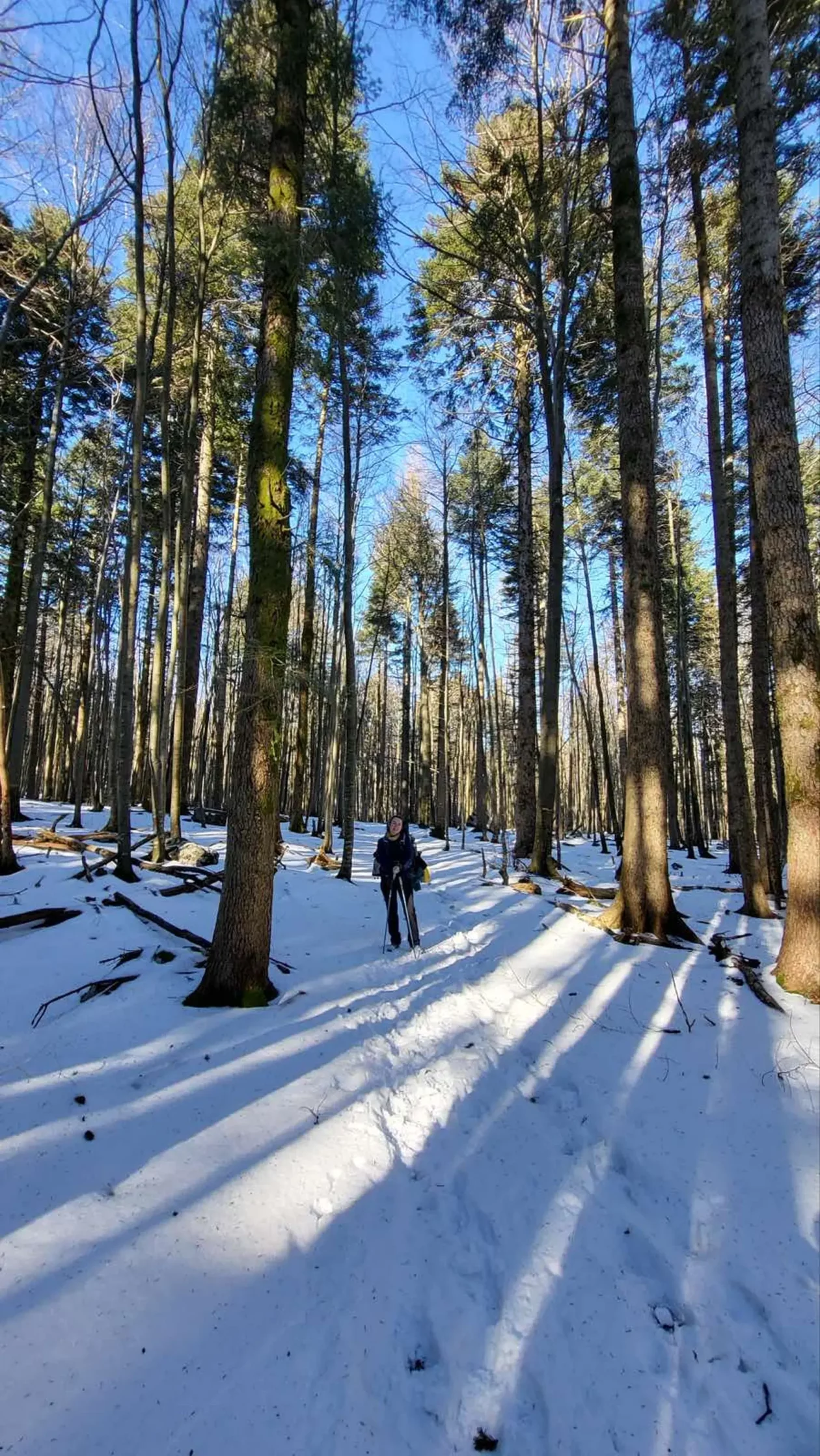 Tajana Čevizović. Goričan, Highlander Challenge, planinarenje (16)