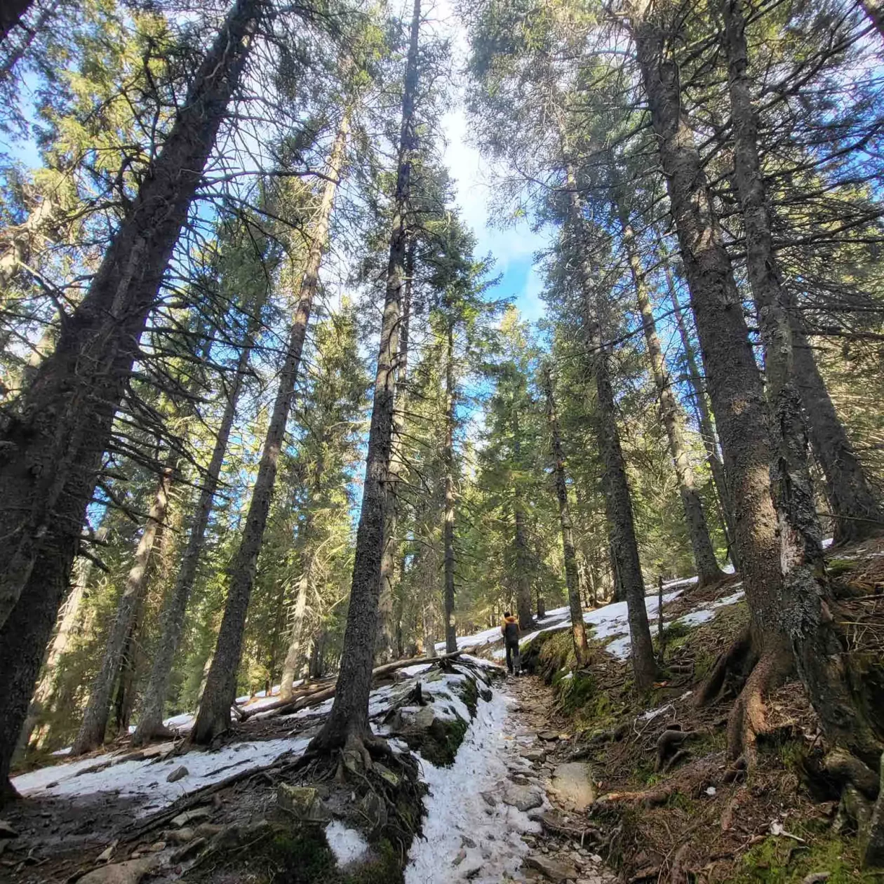 Tajana Čevizović. Goričan, Highlander Challenge, planinarenje (17)