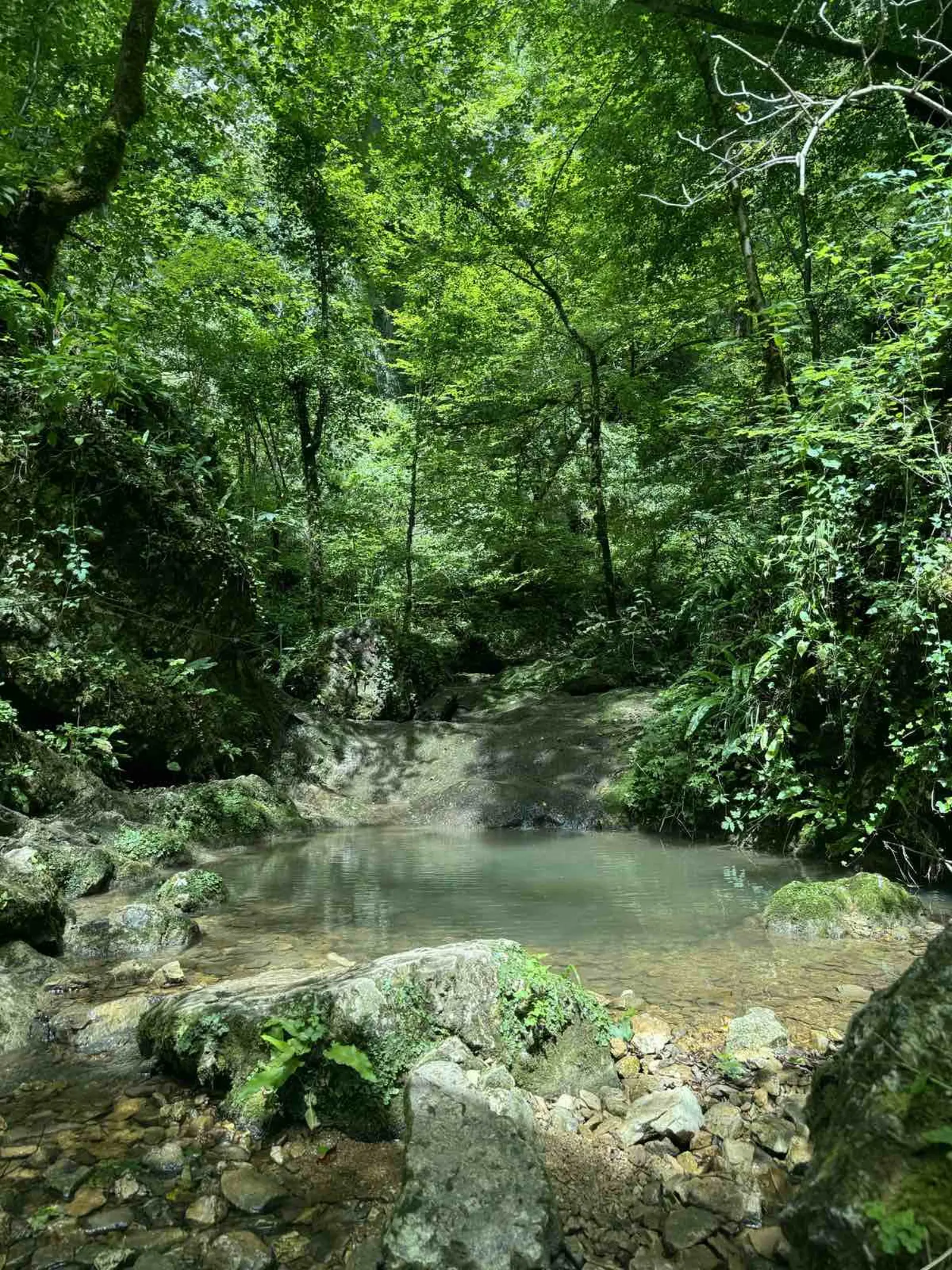 Tajana Čevizović. Goričan, Highlander Challenge, planinarenje (19)