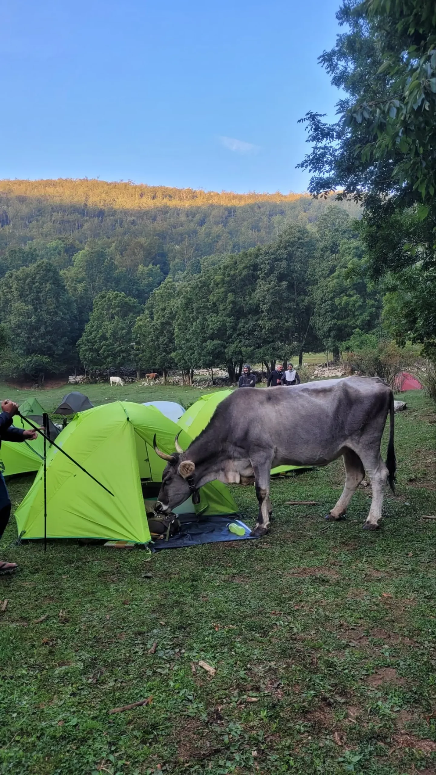 Tajana Čevizović. Goričan, Highlander Challenge, planinarenje (8)