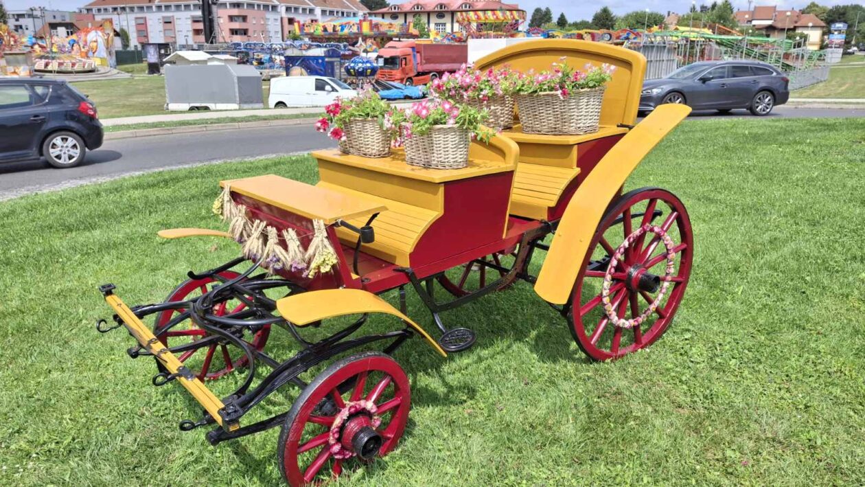 Tatjana Lukman kočija (1)