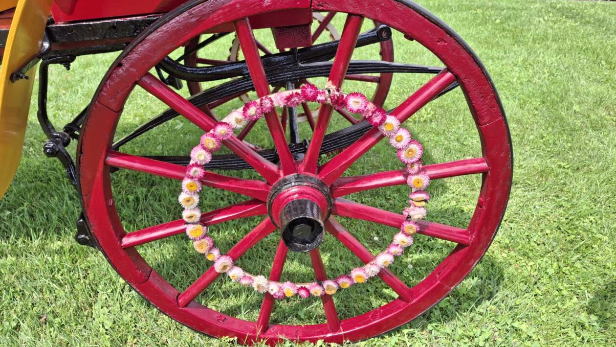 Tatjana Lukman kočija (2)