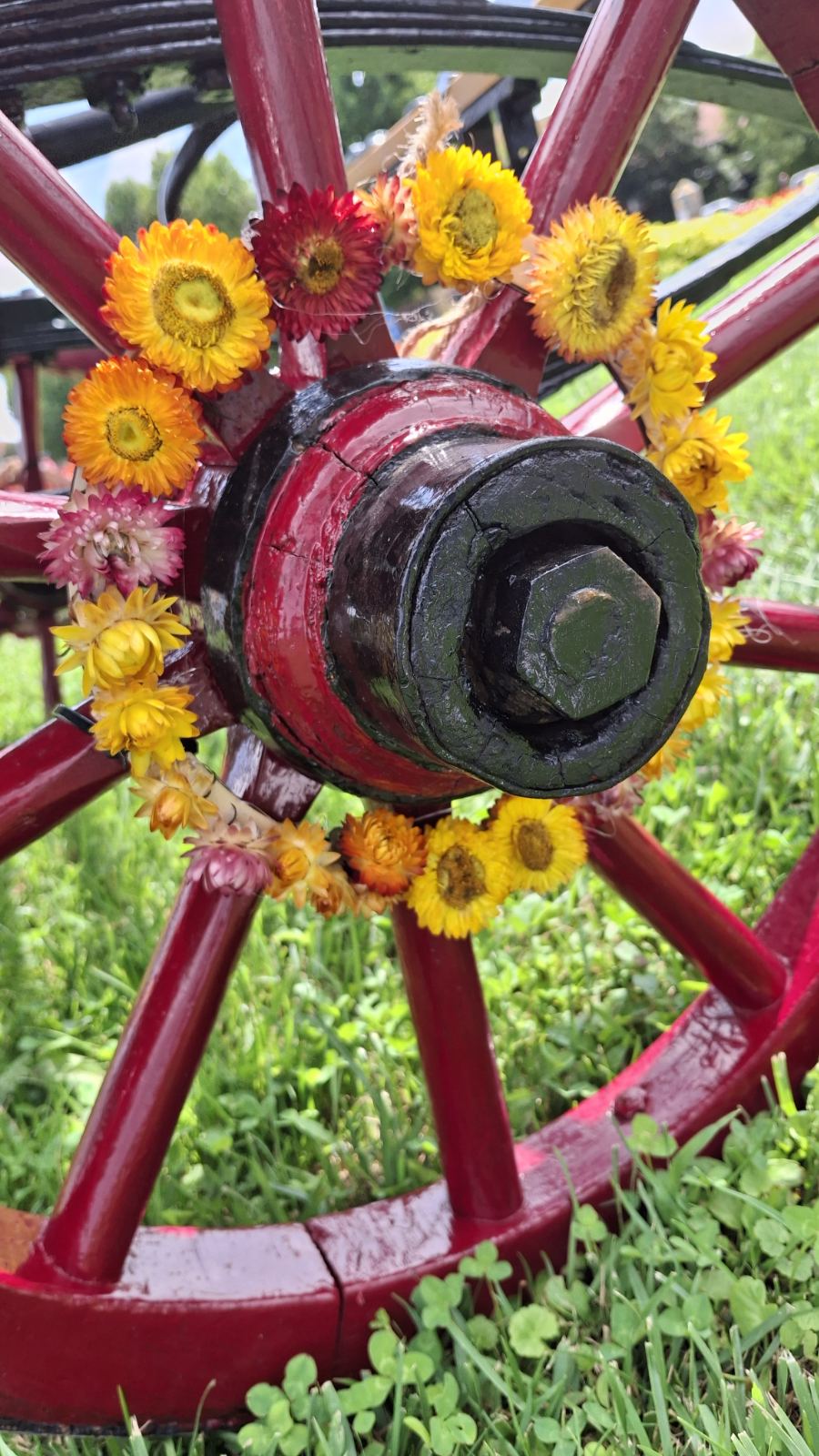 Tatjana Lukman kočija (3)