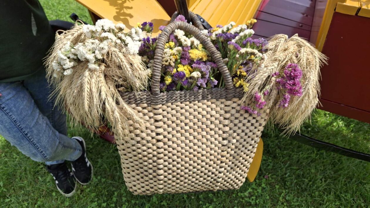 Tatjana Lukman kočija (4)