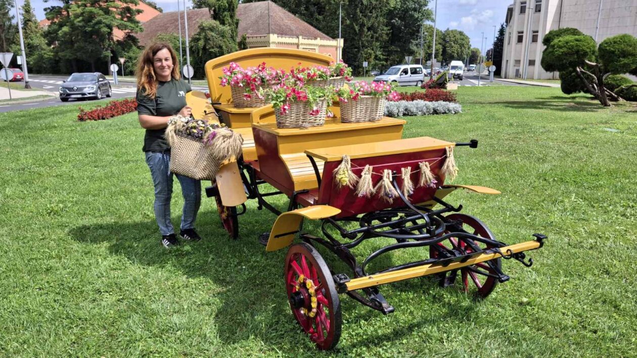 Tatjana Lukman kočija (7)