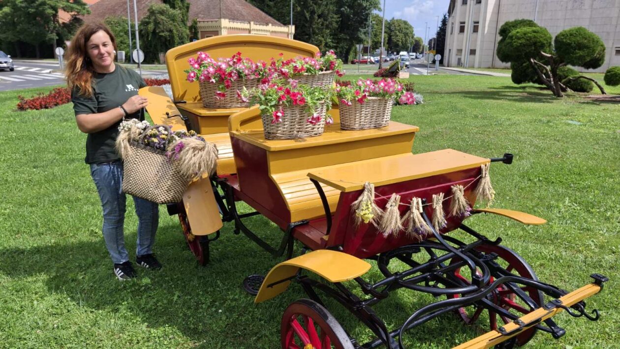 Tatjana Lukman kočija (8)