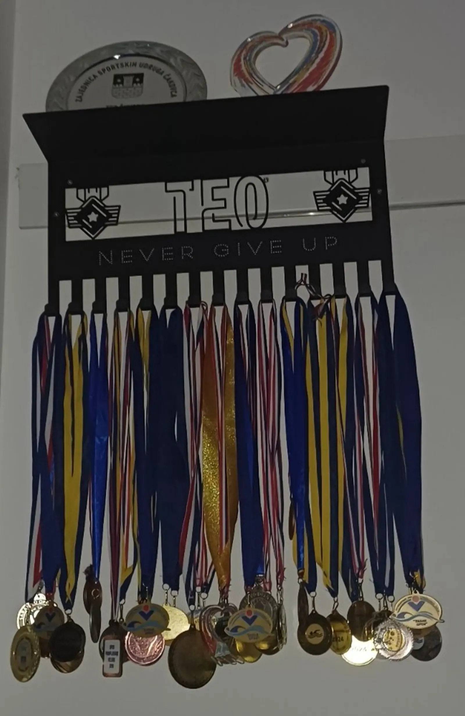 Teo Škvorc, Tajana Škvorc, Strahoninec, osteogenesis, stakleni, staklene kosti, udruga (1) Teo Škvorc, Tajana Škvorc, Strahoninec, osteogenesis, stakleni, staklene kosti, udruga (1)