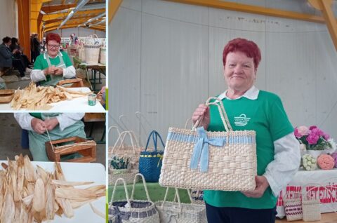 Untitled design – 1 Untitled design – 1