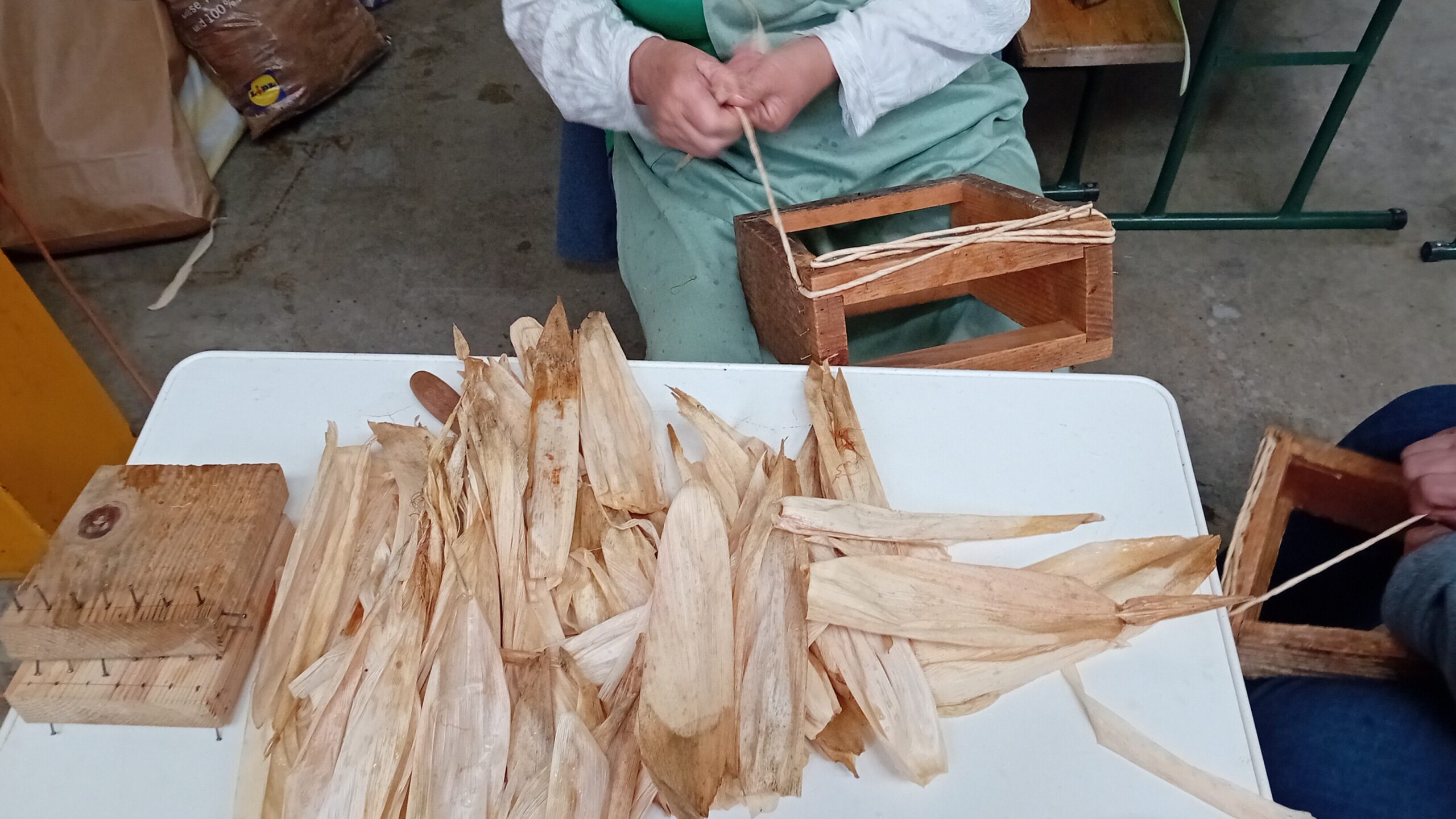 Terezija Pintarić (5) Terezija Pintarić (5)