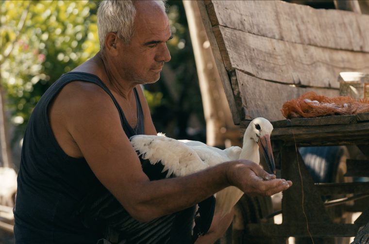 TheTaleOfSilyan_UHD_05 TheTaleOfSilyan_UHD_05