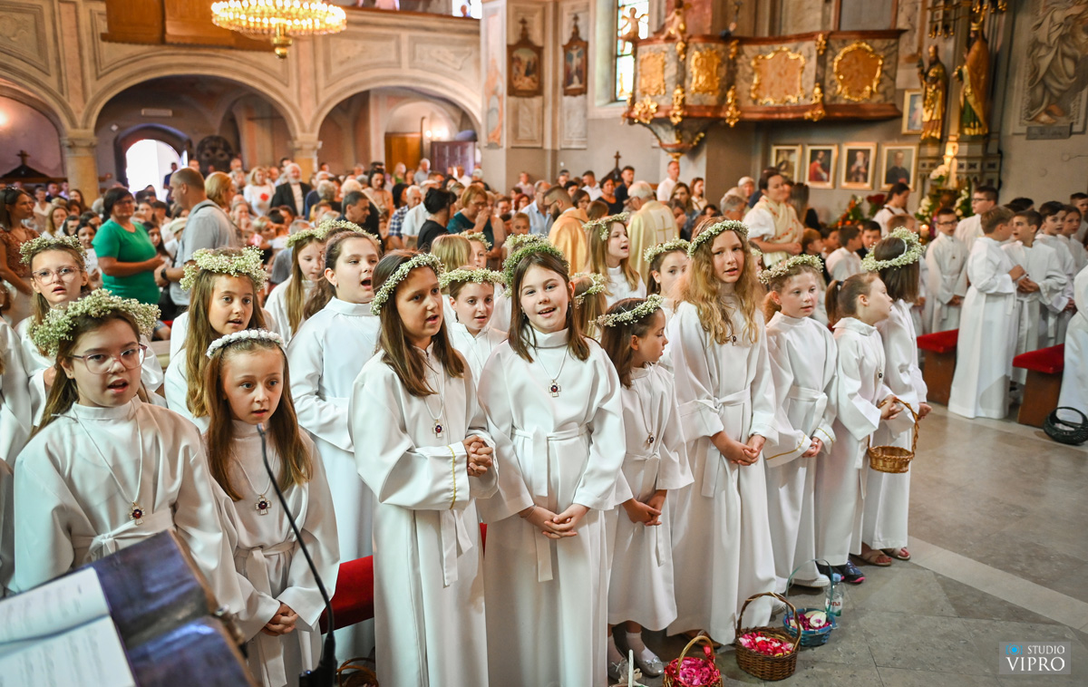 studio VIPRO studio VIPRO