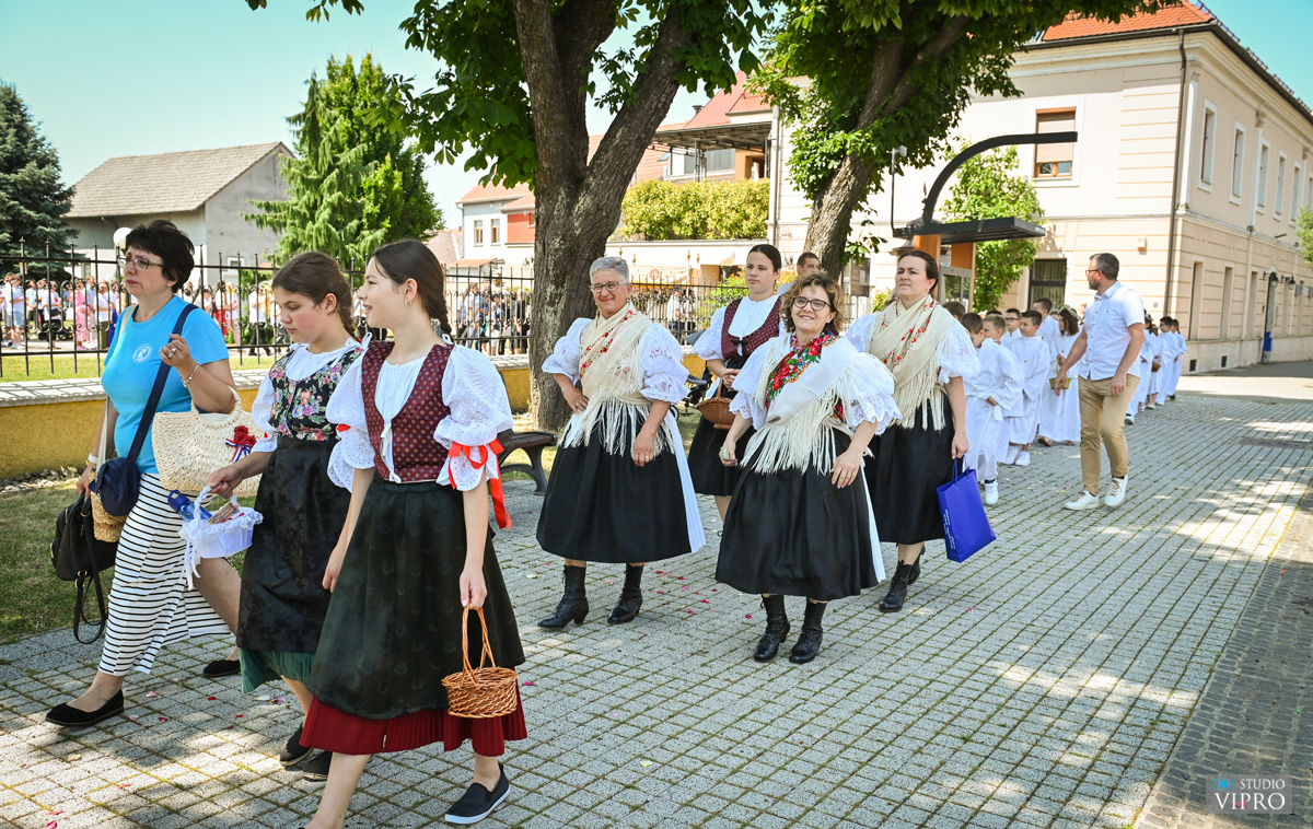 studio VIPRO studio VIPRO