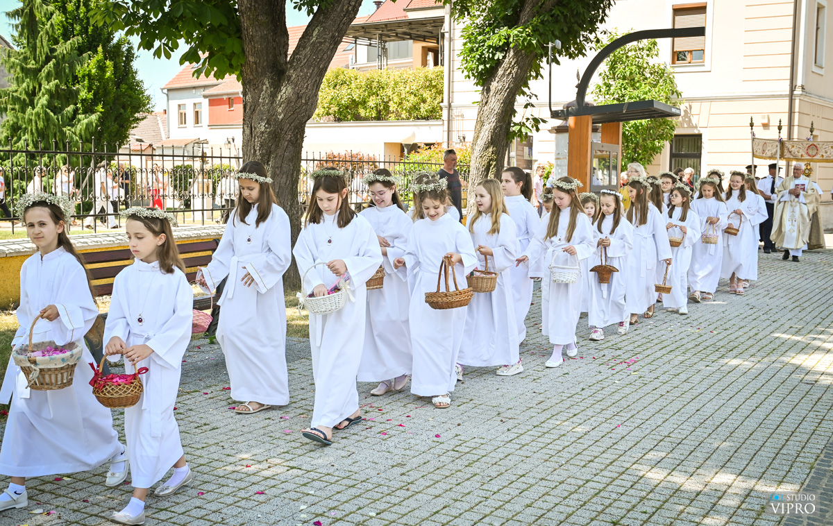 studio VIPRO studio VIPRO