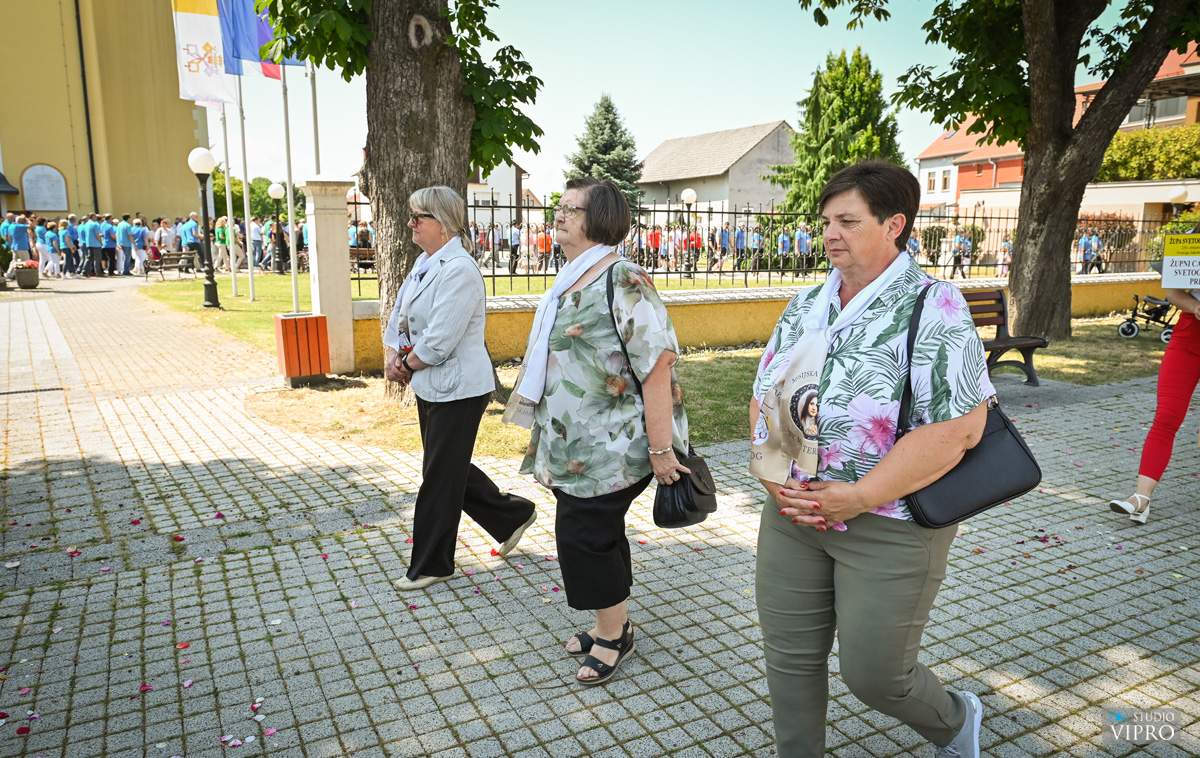 studio VIPRO studio VIPRO