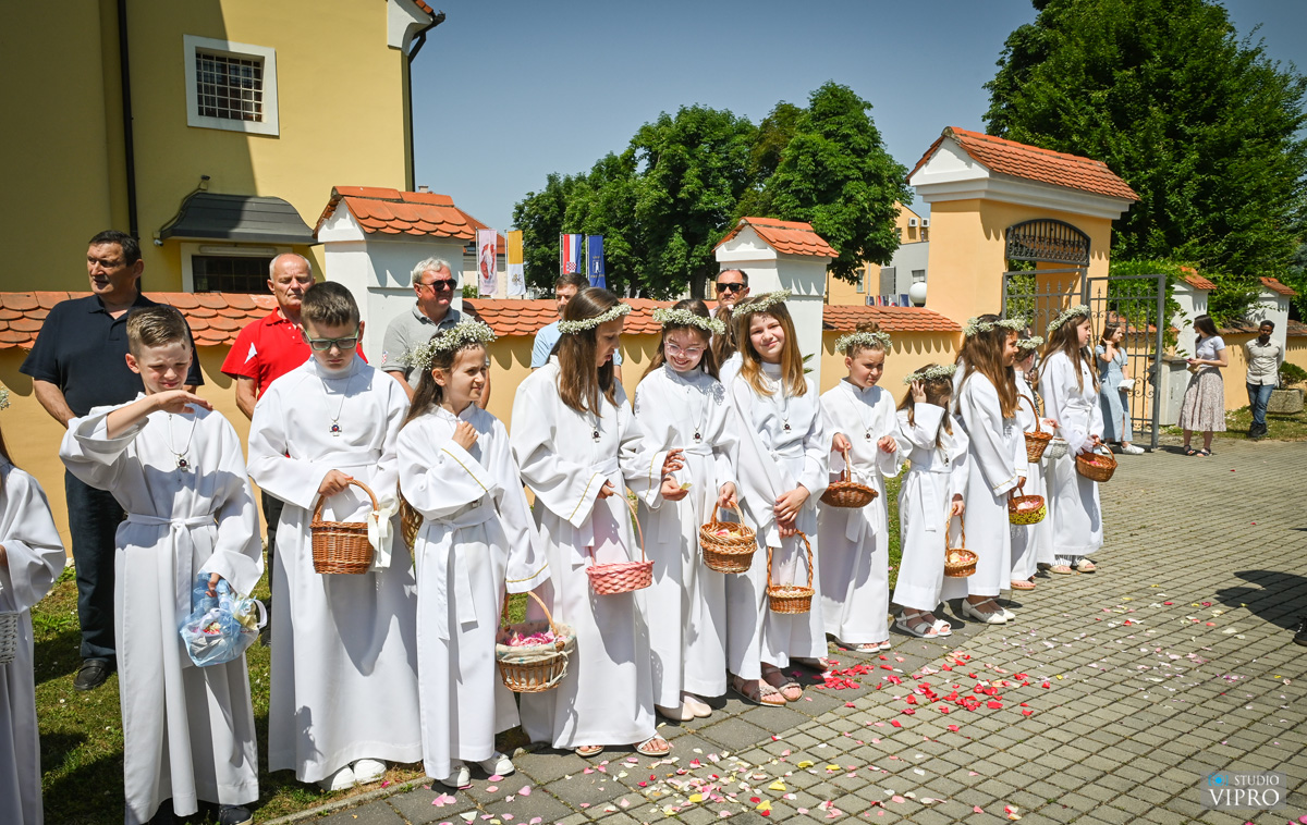 studio VIPRO studio VIPRO