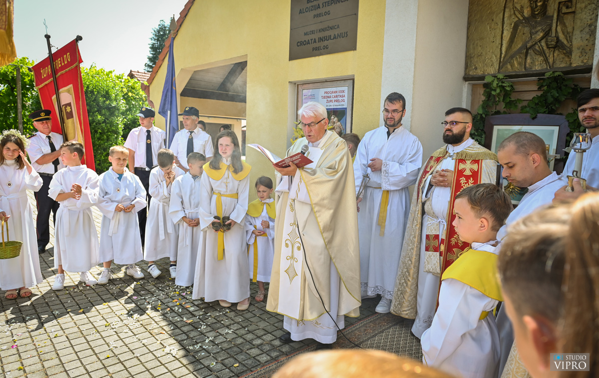 studio VIPRO studio VIPRO