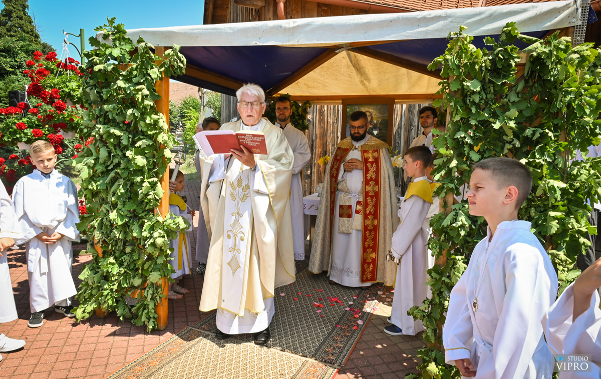 studio VIPRO studio VIPRO