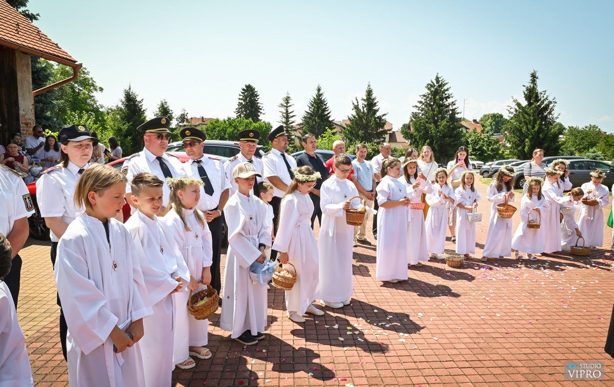 studio VIPRO studio VIPRO