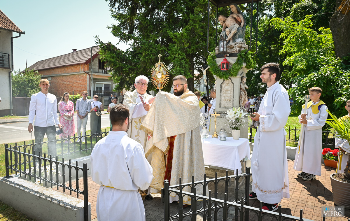 studio VIPRO studio VIPRO