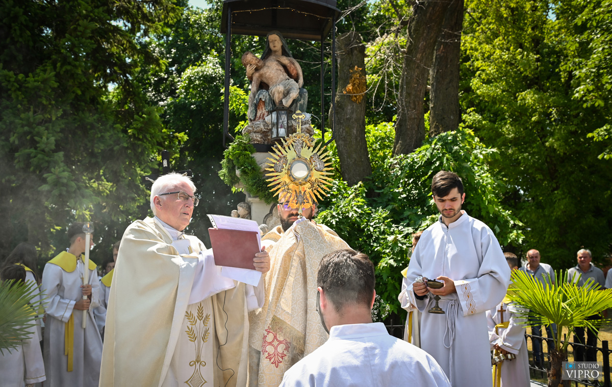 studio VIPRO studio VIPRO