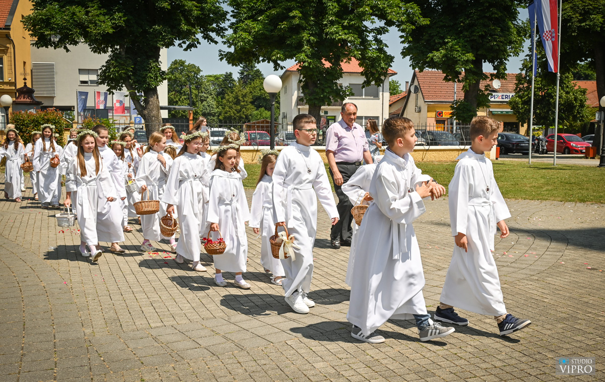 studio VIPRO studio VIPRO