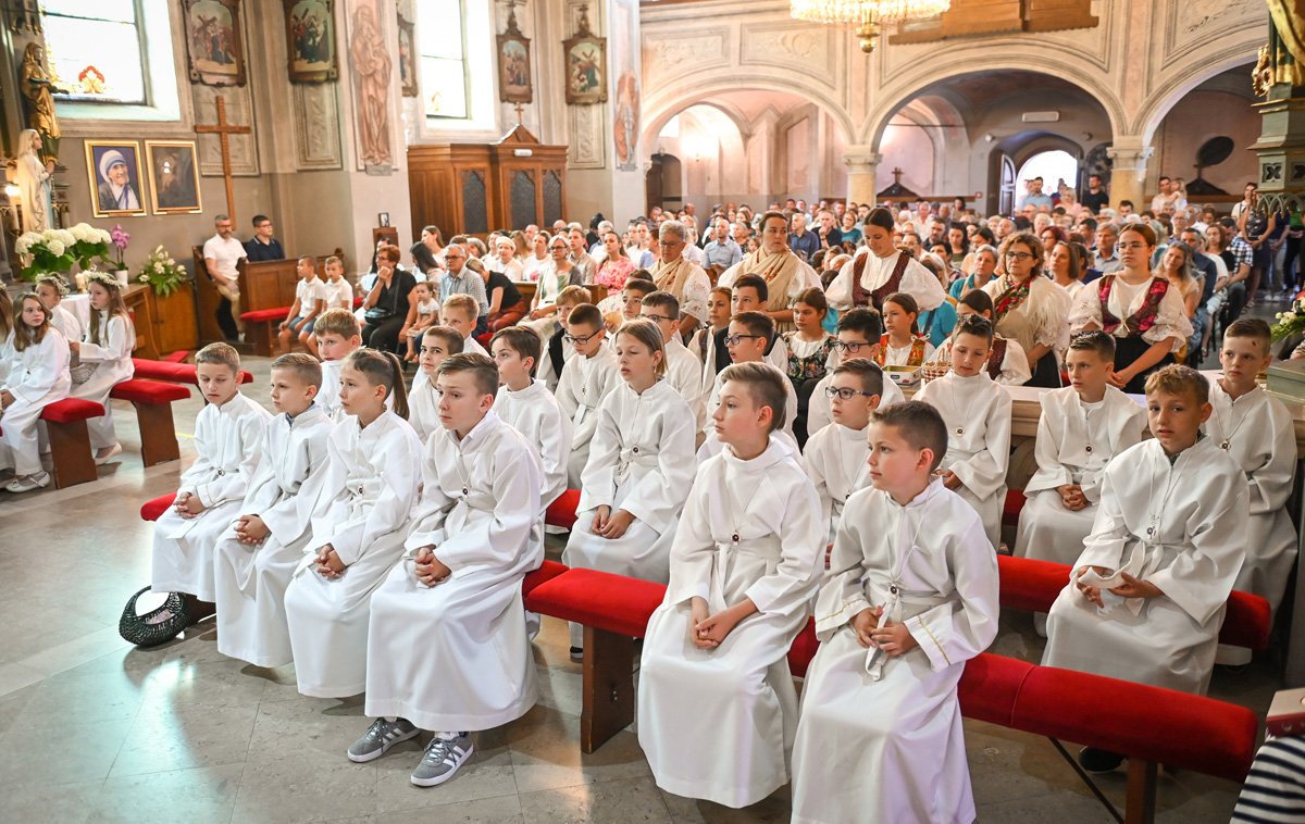 studio VIPRO studio VIPRO