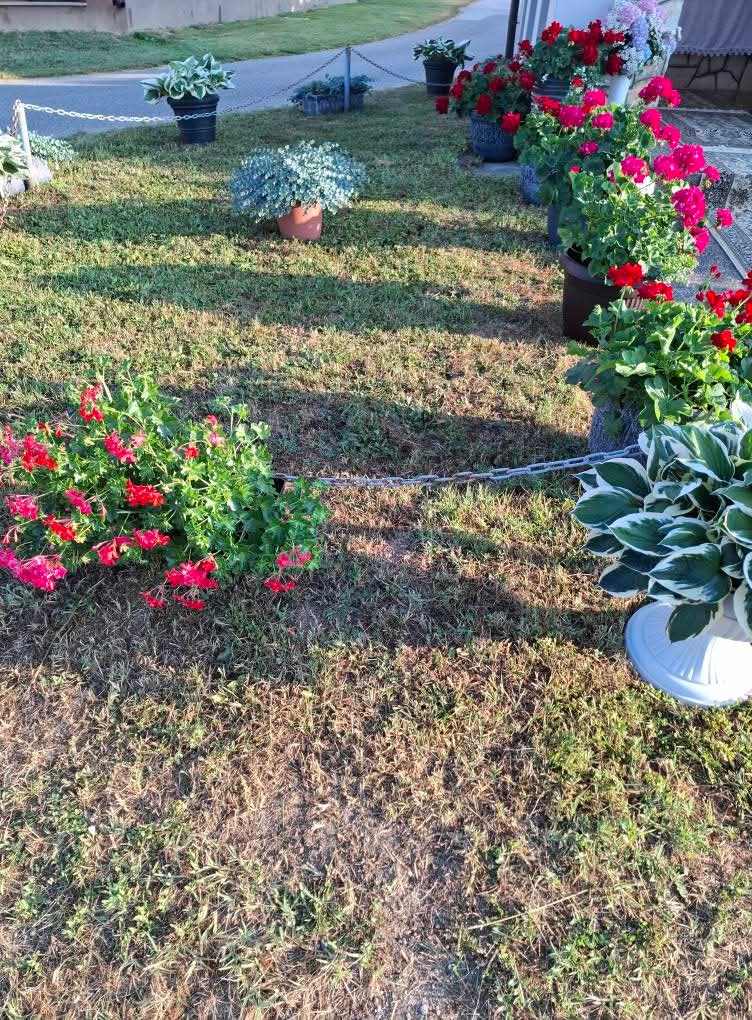 Tijelovo, kapelice u Belici (11) Tijelovo, kapelice u Belici (11)