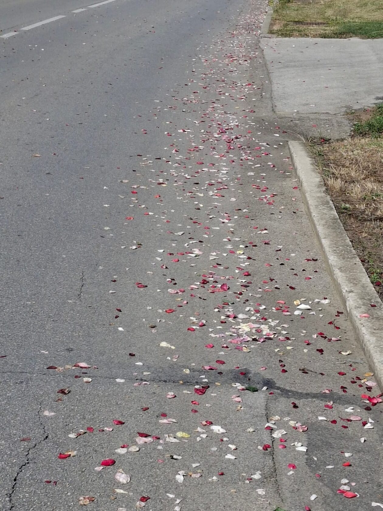 Tijelovo, kapelice u Belici 2025 (18) Tijelovo, kapelice u Belici 2025 (18)