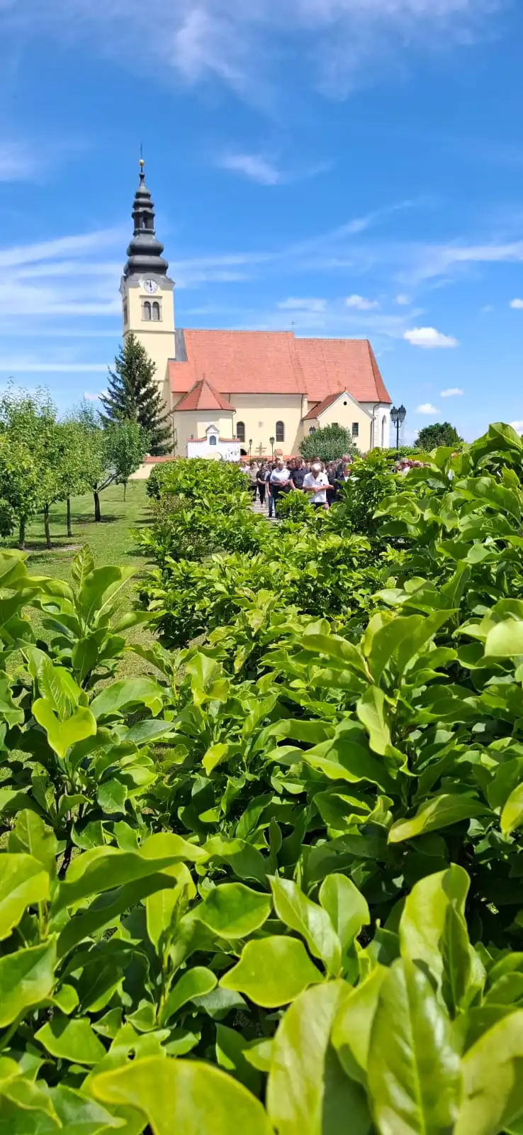 Tijelovo u Nedelišću (32) Tijelovo u Nedelišću (32)
