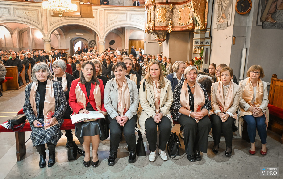 studio VIPRO studio VIPRO