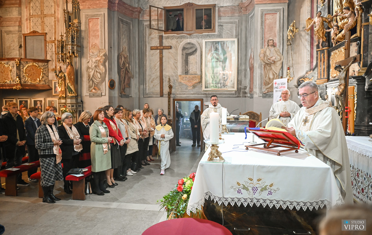 studio VIPRO studio VIPRO