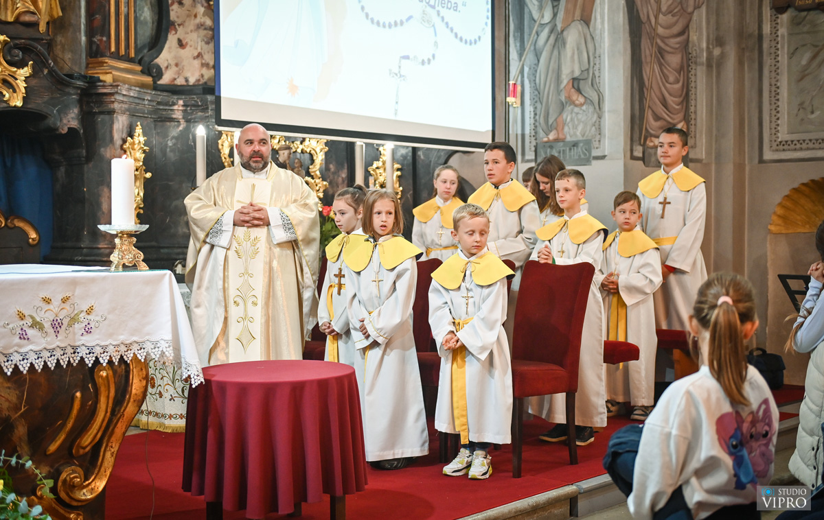 studio VIPRO studio VIPRO