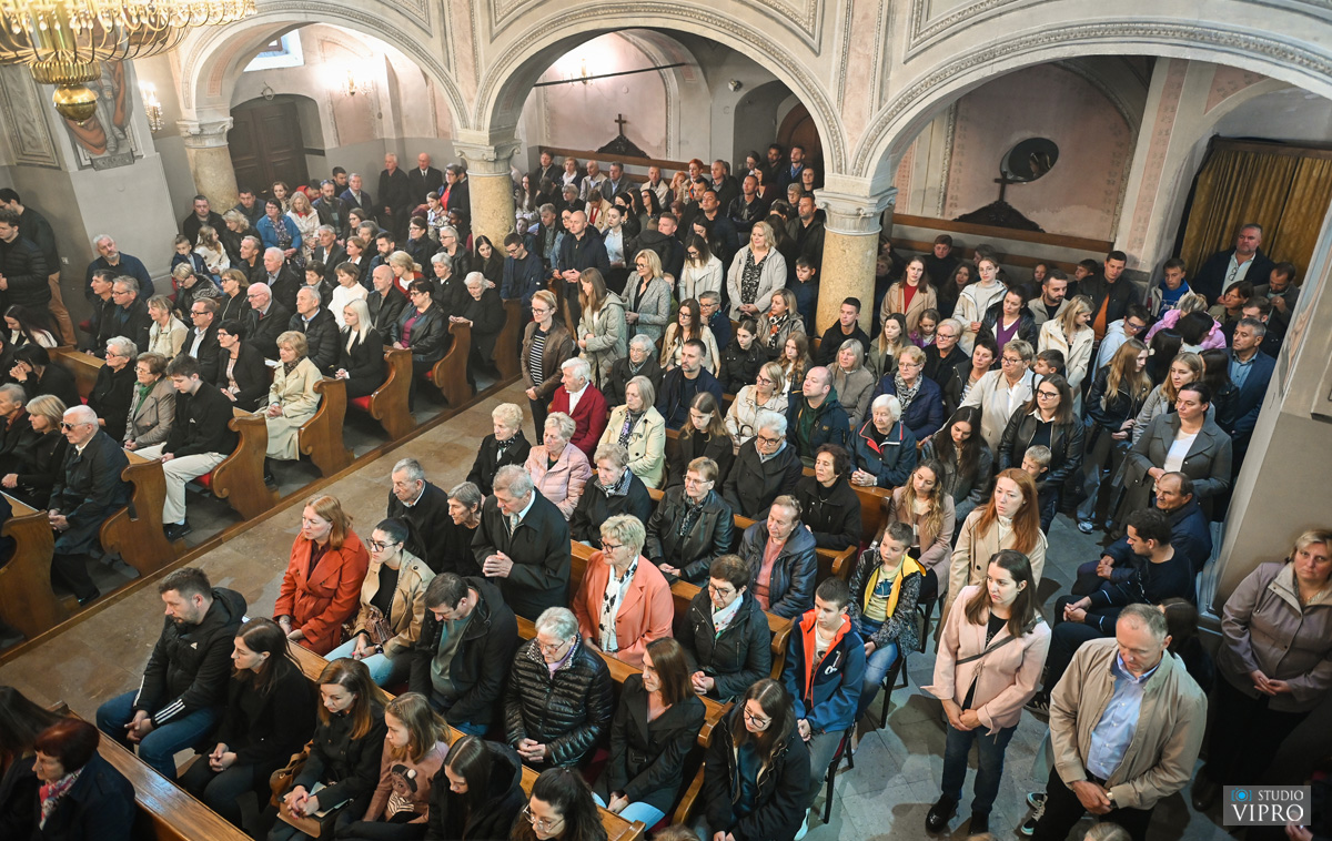 studio VIPRO studio VIPRO