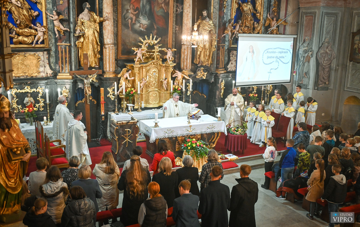 studio VIPRO studio VIPRO