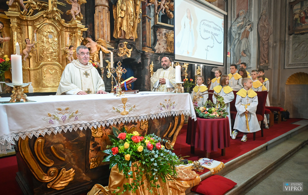 studio VIPRO studio VIPRO