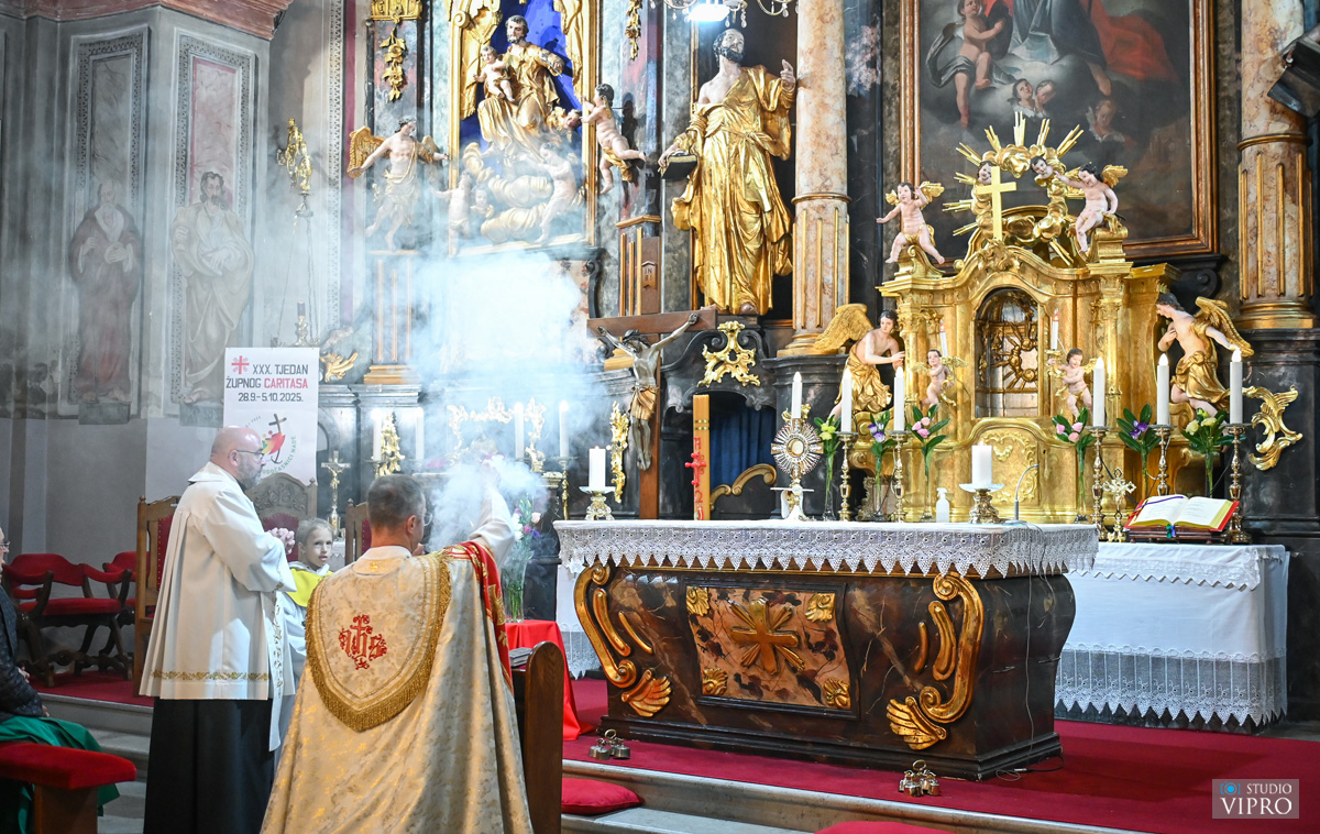 studio VIPRO studio VIPRO