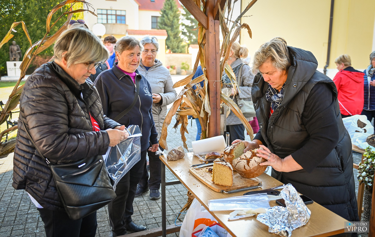 studio VIPRO studio VIPRO