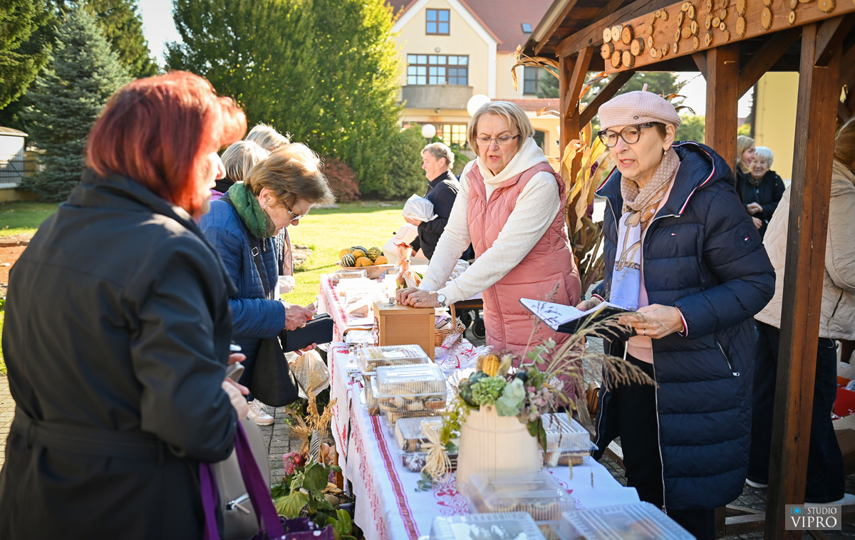 studio VIPRO studio VIPRO