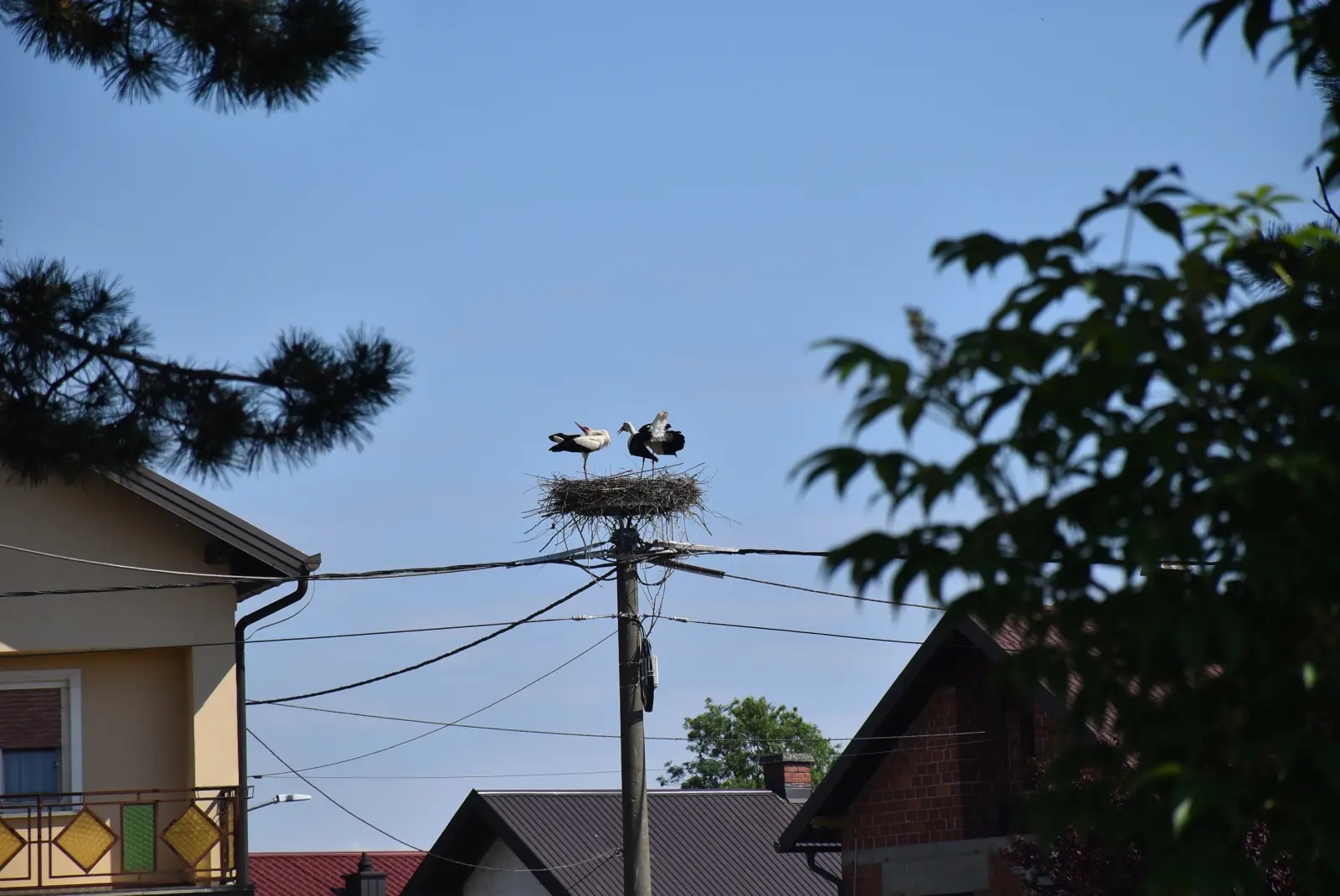 Totovec, Dječji vrtić, Ljerka Cividini (1)