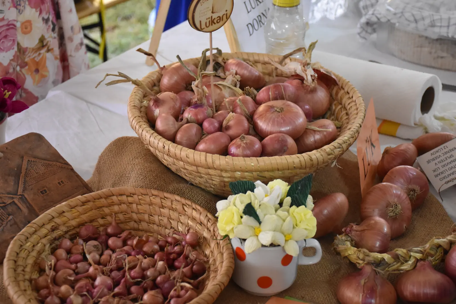 Tradicija bez granica, Donja Dubrava (24) Tradicija bez granica, Donja Dubrava (24)