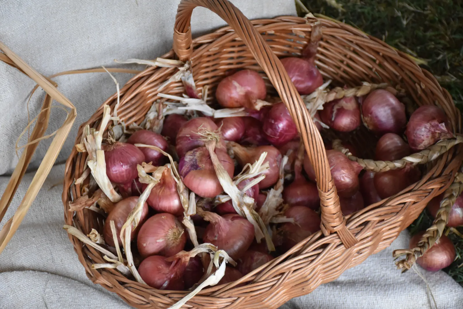 Tradicija bez granica, Donja Dubrava (35) Tradicija bez granica, Donja Dubrava (35)