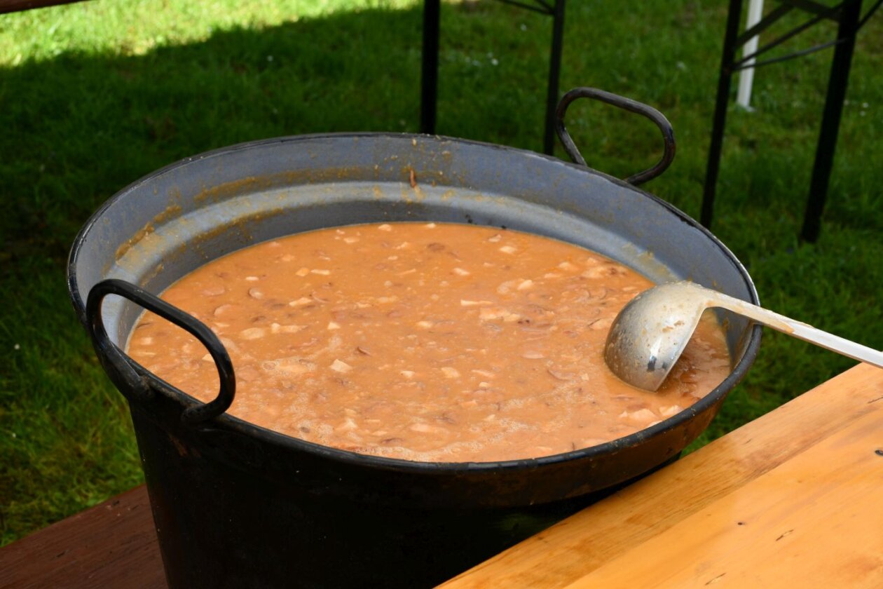 Tradicionalna podjela graha u Čakovcu – Prvi maj 2025 (6)