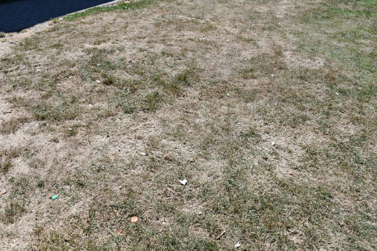 Trka Belica 2025 (122) Trka Belica 2025 (122)