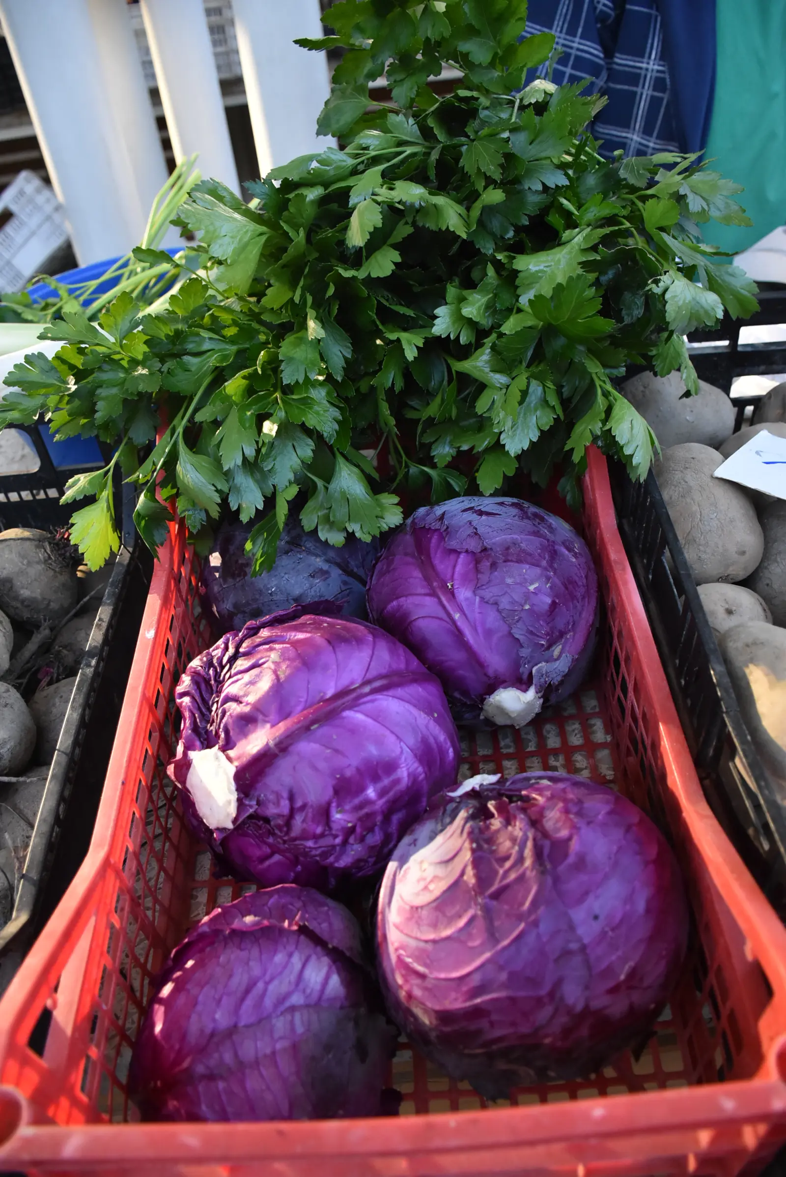 Tržnica Čakovec 16.11.24 (15)