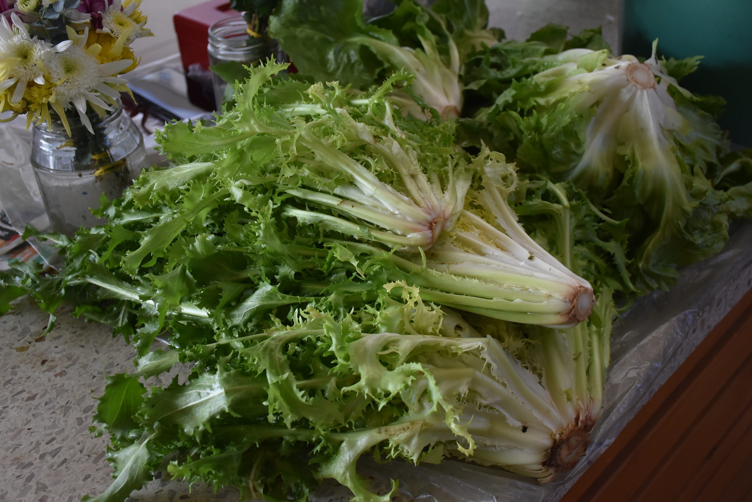 Tržnica, Čakovec 30.11.24 (12) Tržnica, Čakovec 30.11.24 (12)