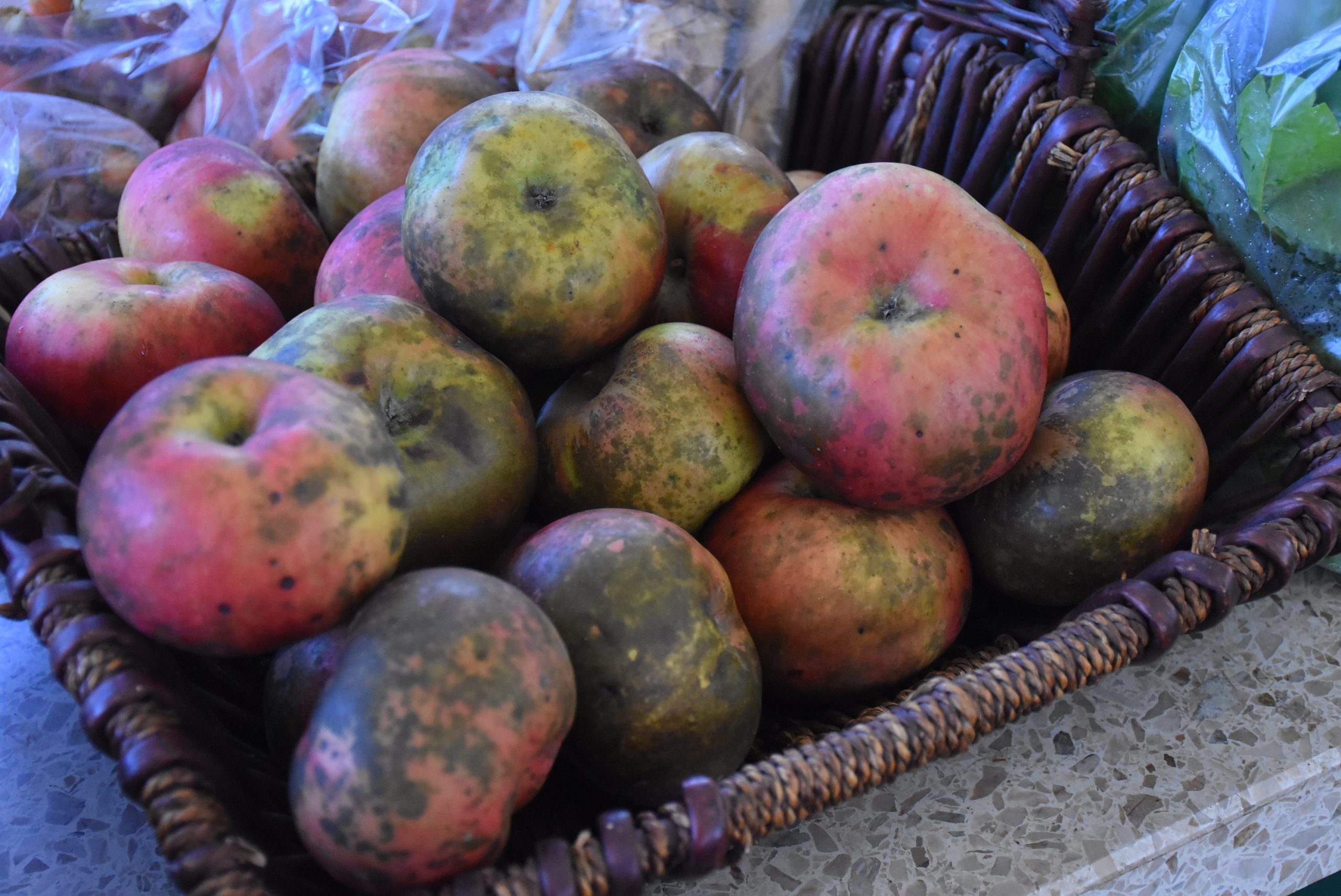 Tržnica, Čakovec 30.11.24 (26) Tržnica, Čakovec 30.11.24 (26)