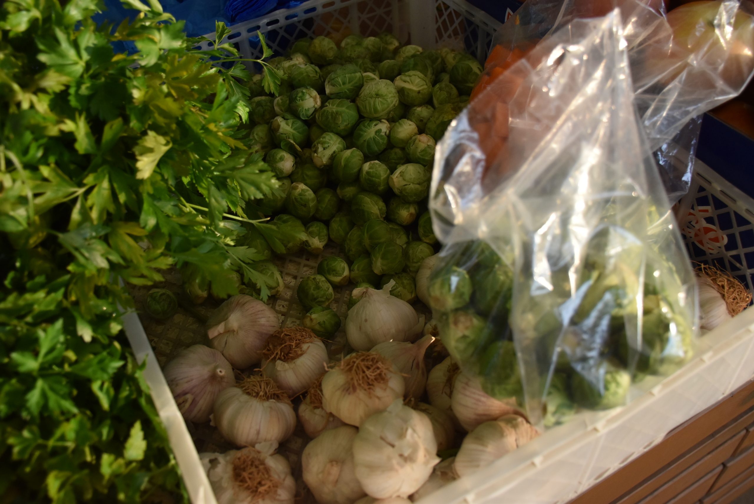 Tržnica, Čakovec 30.11.24 (8) Tržnica, Čakovec 30.11.24 (8)