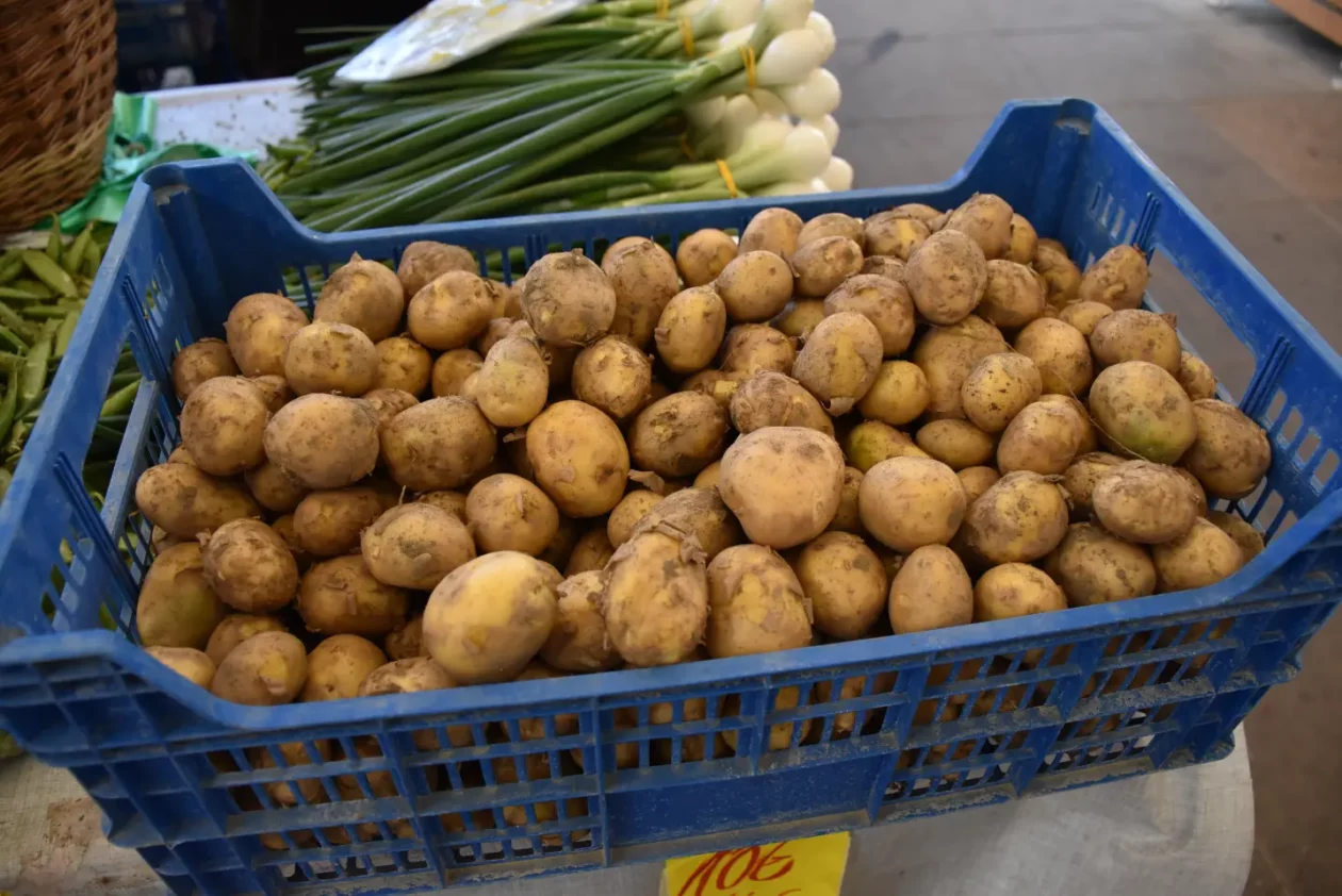 Tržnica, Čakovec, 31.5.2025 (10) Tržnica, Čakovec, 31.5.2025 (10)